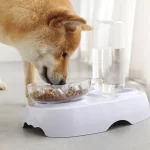 perro comiendo en un cuenco