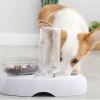 perro comiendo en un cuenco