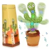 Cactus-Electronico-Hablar-Y-Cantar