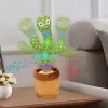 Cactus-Electronico-Hablar-Y-Cantar