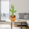 Cactus-Electronico-Hablar-Y-Cantar