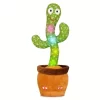 Cactus-Electronico-Hablar-Y-Cantar