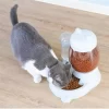 Comedero y Bebedero Dosificador Doble Uso para Perros y Gatos