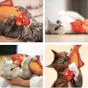 Pez juguete electrónico con movimiento para gatos 2