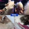 cepillo desenredante para perros y gatos 5