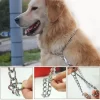 Collar metálico para mascotas