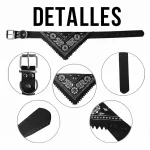 Collar-panoleta-mediana-para-perros