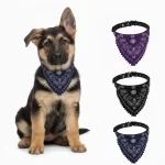 Collar-panoleta-mediana-para-perros