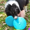 Frisbee juguete 1