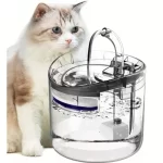 Fuente agua para gato