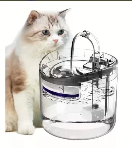 Fuente agua para gato