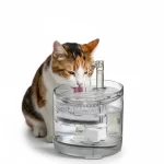 Fuente-de-Agua-para-Gato