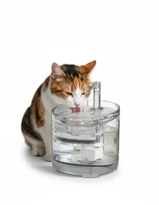 Fuente-de-Agua-para-Gato