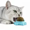 Juguete-Bola-de-Hierba-catnip