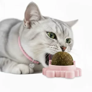 Juguete-Bola-de-Hierba-catnip