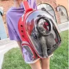 Maleta para mascotas trasparente rojo