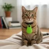 Mini-GPS-localizador-para-mascotas