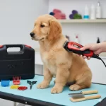 Peluqueria-para-mascotas-Gemei