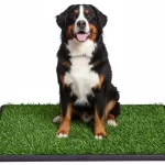 Tapete acostumbrador para mascotas con pasto sintético