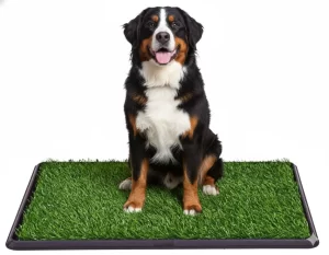 Tapete acostumbrador para mascotas con pasto sintético