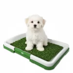 Tapete-para-perro-pequeno