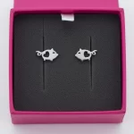 Aretes-Cerdito