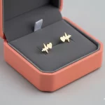 Aretes-Corazon-electrico
