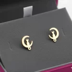 Aretes-Gato-en-Luna