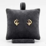 Aretes-Gato-luna