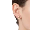 Aretes-Gato-luna