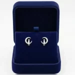 Aretes-Gato-luna-Plateadas