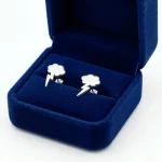 Aretes Topitos Tormenta