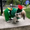 Disfraz Peter pan para mascota perro y gato 1