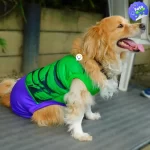 Disfraz superhéroe mutante para mascota perro y gato 3