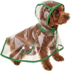 Chubasquero-transparente