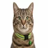 Collar-con-cascabel