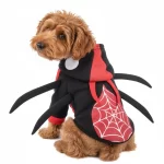 Disfraz-de-spiderman