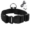 Collar Perro Gato Luminoso Led Recargable Usb 4