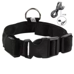 Collar Perro Gato Luminoso Led Recargable Usb 4