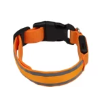 Collar Perro Gato Luminoso Led Recargable Usb 6