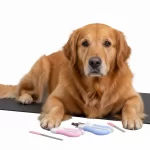 Corta uñas para Perros