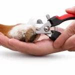 Corta-unas-para-perro-con-lima