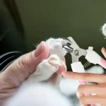 Corta uñas para perros razas grandes 8