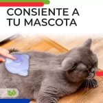 Peine removedor deslanador quita pelo Slim Company para mascotas de acero inoxidable 6