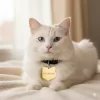 Placas personalizadas para mascotas