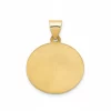 Placa-identificacion-para-perros-y-gatos