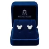 Aretes-Orejas-Plateadas