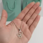 Juego-de-Collar-y-Aretes-Diseno-Corazon-Cadena