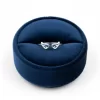 Anillo-Alas-Plateado