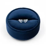 Anillo-Alas-Plateado